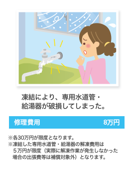 凍結により、専用水道管・給湯器が破裂してしまった。